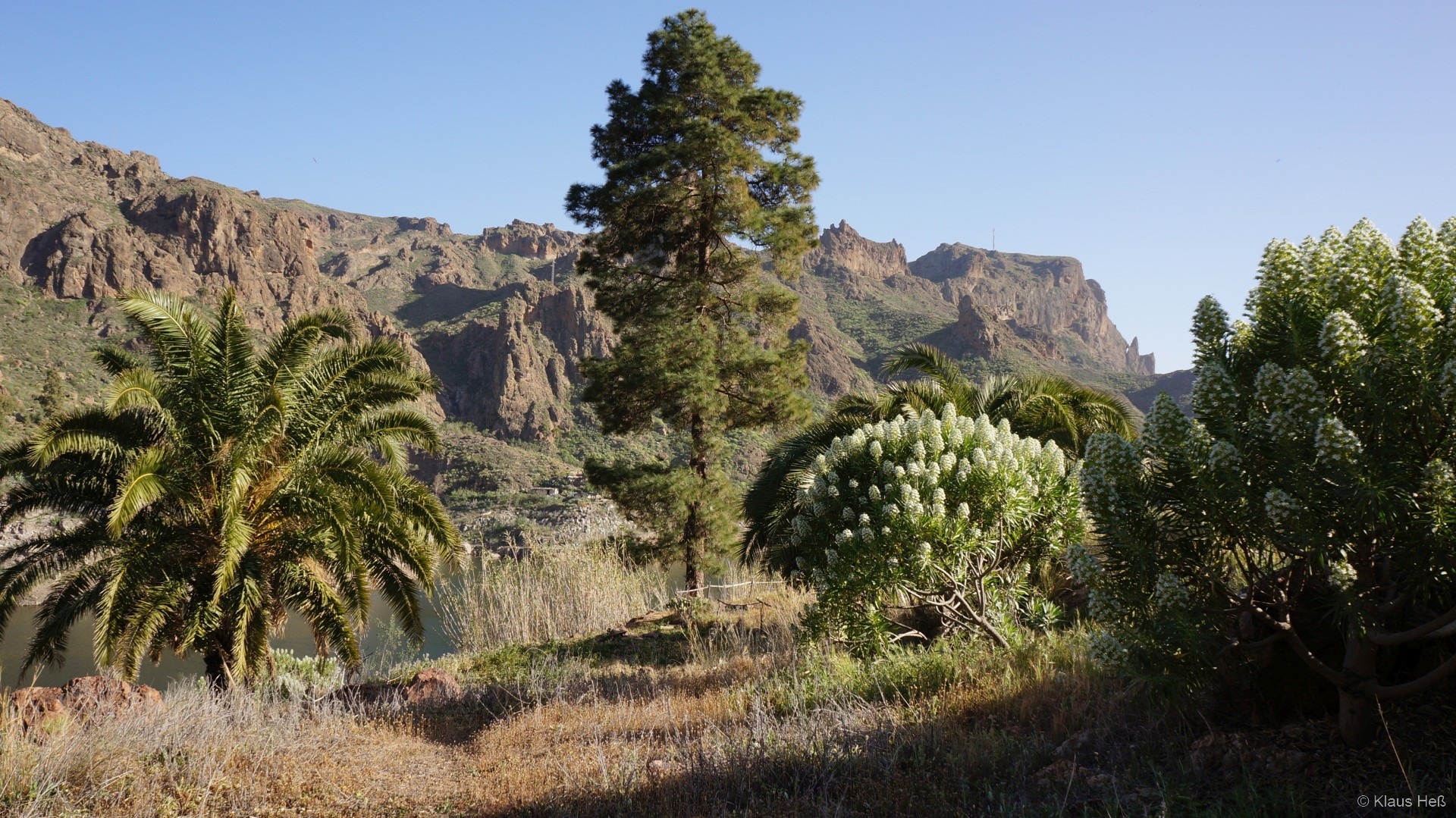 Gran Canaria