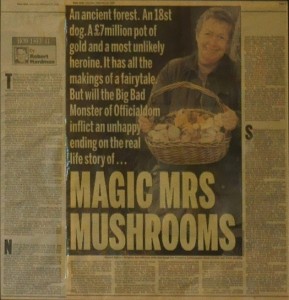 brigitte tee mrs mushrooms zeitungsartikel