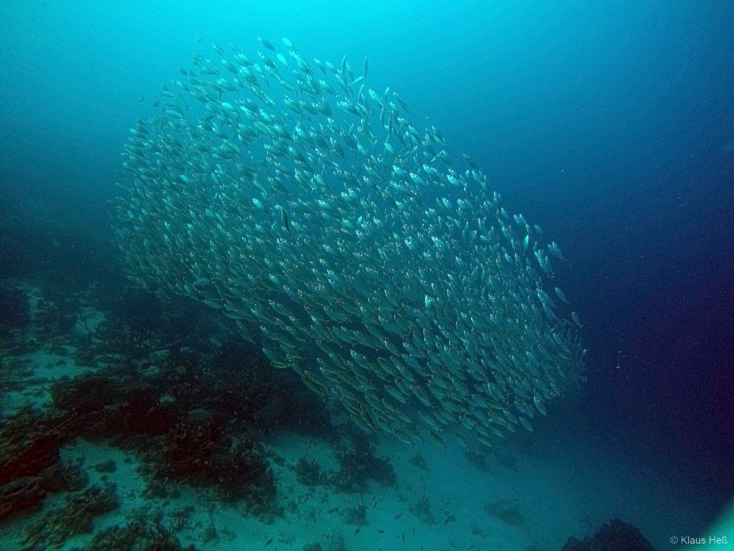 Curaçao