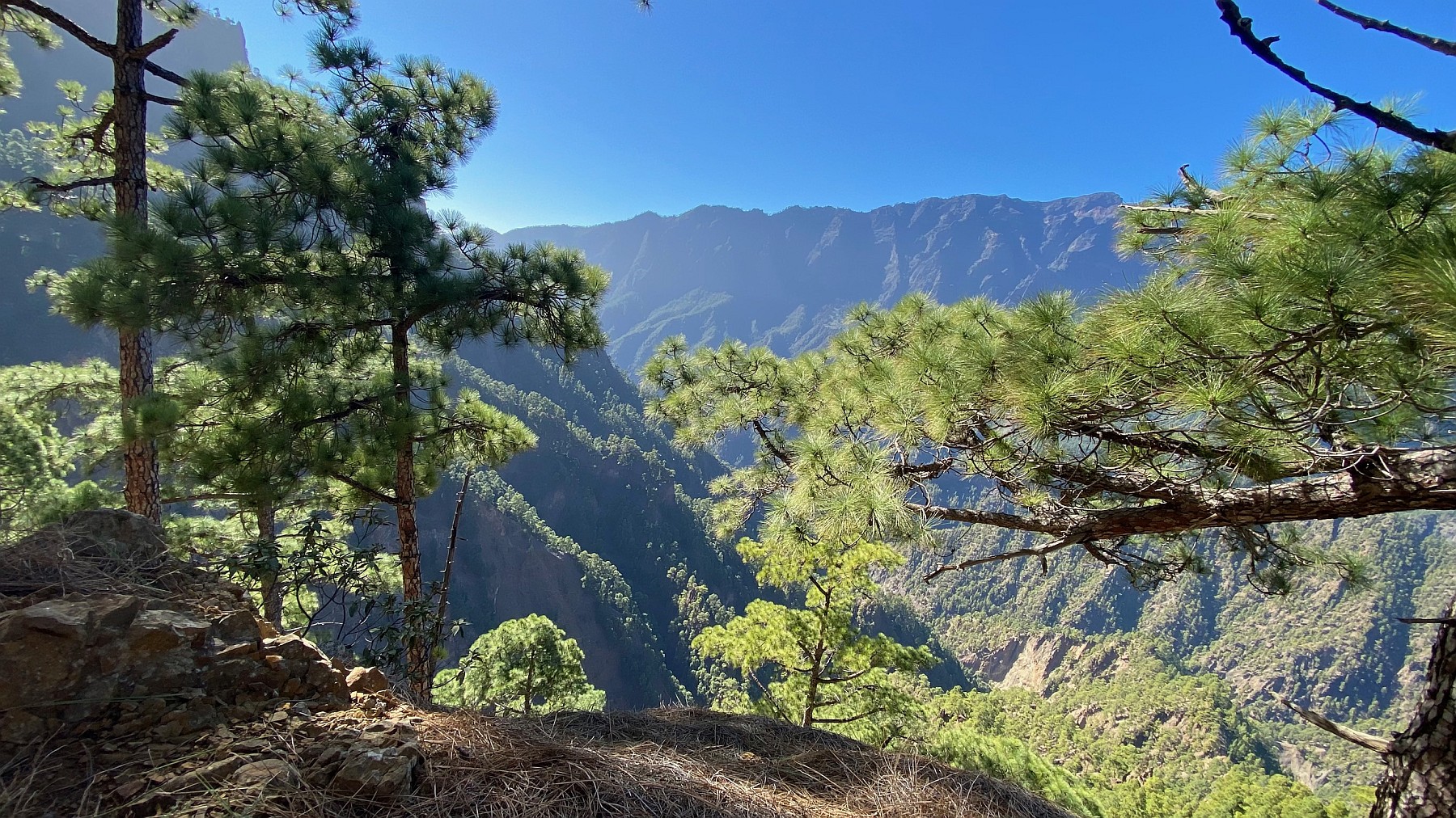 La Palma